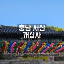 서산당일치기코스로 개심사와 한우목장길 부처님오신날정보