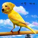 새로나침구 - 광진구 아차산로29길 56 | 새로나침구