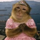 심천사혈요법남구1연수원 | 광주증량일기