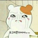 스시반점 이미지