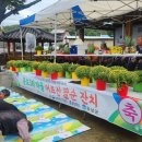 성대3리 이미지