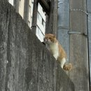 구구농장 | 여자에게 제일 필요한 건 돈이겠지