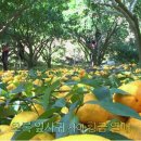 에덴환경산업 이미지
