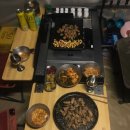 초평밤나무 이미지