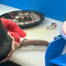 부산상회 | 부산 광안리횟집, 여수상회 찐 후기｜참돔 유비끼·수변 맛집 추천 ‘여수상회’