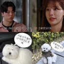 해피데이 환타지월드 | 얼렁뚱뚱땅 한 주 일기