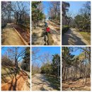 야시골공원 이미지