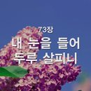 내 눈을 들어 두루 살피니, 73장 이미지