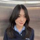 트랜디한제주