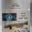 플라비 가로수점