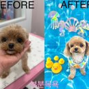 해피멍쓰데이 이미지