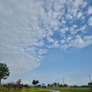 솔라시도 이미지