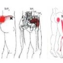 바른몸애