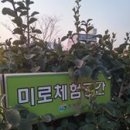소계체육공원 Daum카페