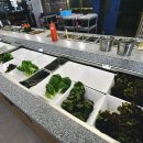 대패생각 이미지