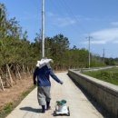 충남민박 이미지