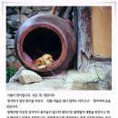 명선 이미지