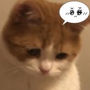 64 | 뭐라고 3월 2일이 지났다고?😡 / 서울 찍먹 몽중헌 런치 코스, 마산가옥 소고기(+냉면) 폭식, 봉리단길...