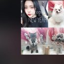 한채은 카카오 검색결과