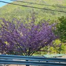 연지사우나 | [🚌] 2025년 5월 태백 여행 - 3 (본론)