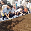 흥선농장 이미지