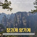 백룡 | [중국 장가계] 원가계 백룡엘레베이터, 아바타, 천하제일교, 양가계 케이블카