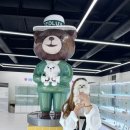 인천강아지분양 테디럽 네이버블로그