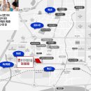 화순만연초 이미지