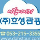 효성여행사 이미지