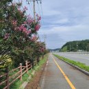 삼호현대자동차정비 이미지