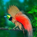 내마음의 풍차 이미지