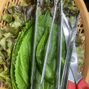 [인천/주안맛집] 자극적이지 않고 혜자스러운 농원숯불왕갈비 내돈내산후기