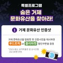 2023년 거제 문화재 야행 이미지