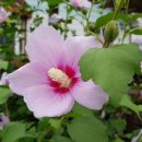 자미원농장 이미지