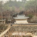 선샤인청과