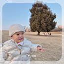 (주)디브레인 | [d+500] 15개월 걸은 아기, 아기 활동(짐보리, 트니트니 등) 산후 다이어트 성공기