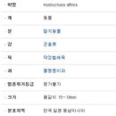 명지산업환경 이미지