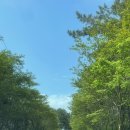 CU태안해피점 | [충청남도 | 태안] 태안 해안국립공원 갯벌체험 가능 ‘학암포 오토캠핑장’ 후기