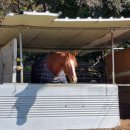 인천맛집 유천가든 이미지