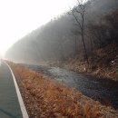 새벽공원 Daum카페
