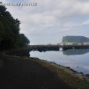 성산홍마트 2 이미지