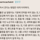 (주)원데이푸드