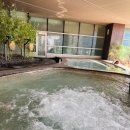 디 오아시 이미지