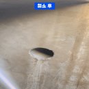 미래티비엠