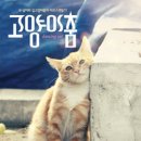 길고양이 다큐 영화 <고양이 춤> 이미지