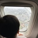 해피휴 | 24개월 아기랑 3박 4일 제주도 동쪽 여행 코스