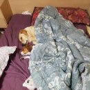 닥터스미성형외과의원 이미지