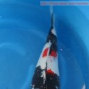 광릉금리원 이미지