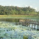 어신민물매운탕 이미지