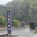 오생별미묵집 이미지